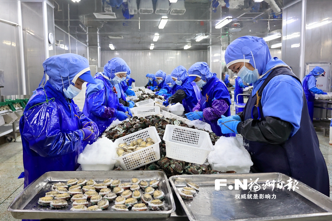 且以新質(zhì)賦山海——海連江品牌如何“出山、出海、出圈”